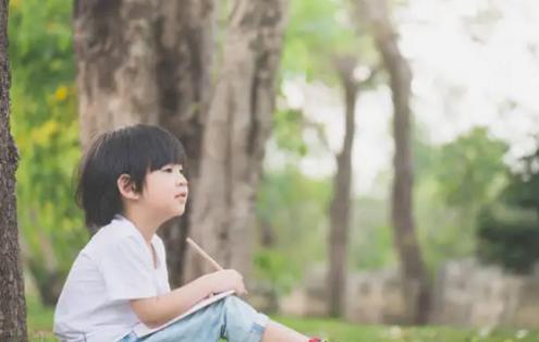 五行属木寓意吉祥的字有哪些 五行属木寓意吉祥的字男孩