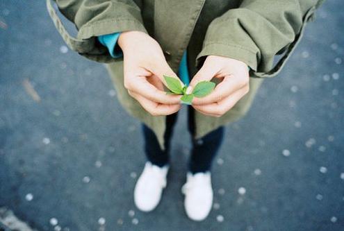 姓戴女孩名字好听属虎-戴芷晴:姓名打分测试100分