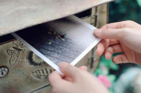 夏姓100分独特大气宝宝名字_夏紫叶寓意好么起名